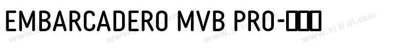 Embarcadero MVB Pro字体转换